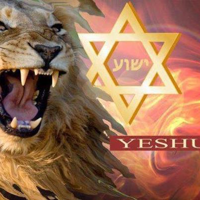 Lion of Judah in Zion.jpg